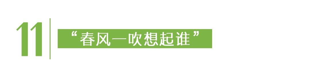 冬奥会世界纪录_值得好好活着的理由 好消息分享平台 冬奥会中国代表团